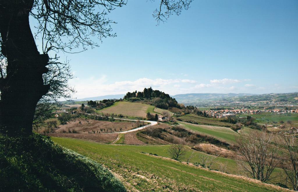 Villa Marietta Country House - Marche Montemaggiore al Metauro Exterior foto